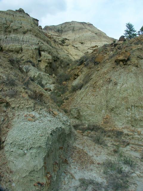 The coulee wall I climbed