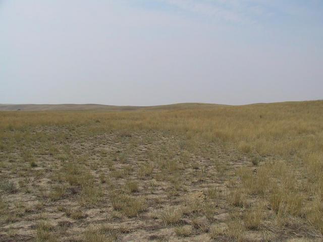 View to the west from the confluence