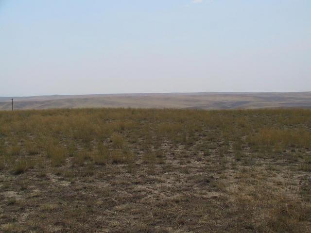 View to the south from the confluence