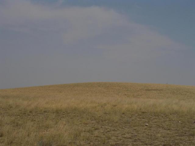 View to the east from the confluence