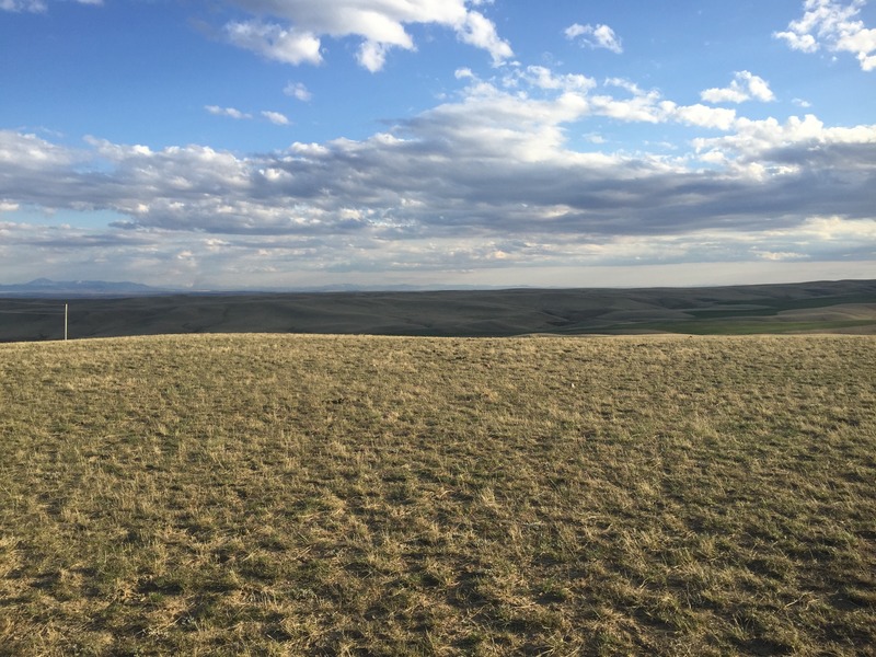 View to the south from the confluence point.