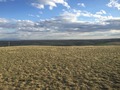 #4: View to the south from the confluence point.