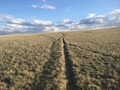 #6: Beautiful views and trail crossings en route to the confluence. 