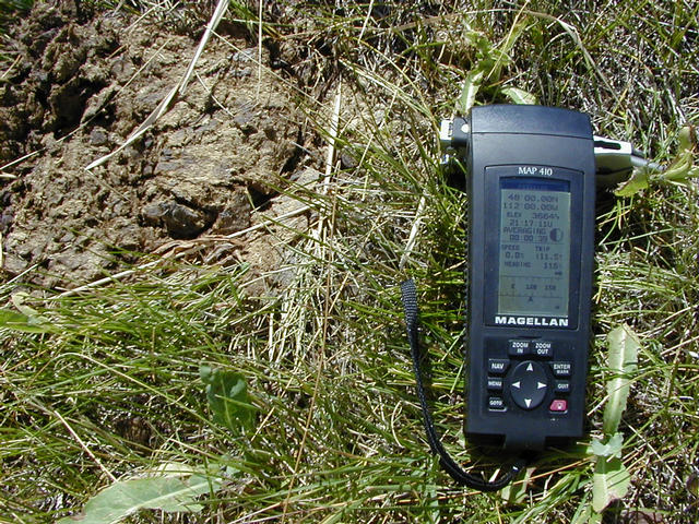 No USGS marker, but the cows have left "markers".