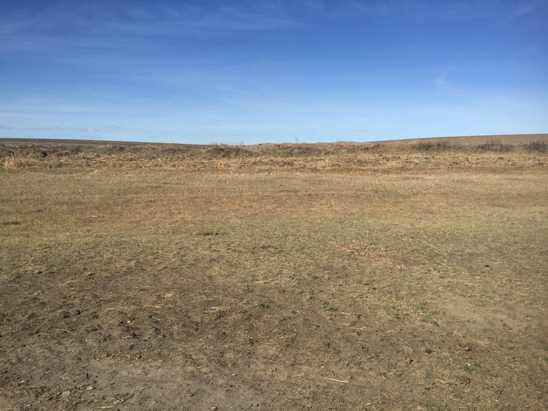 View to the west from the confluence. 