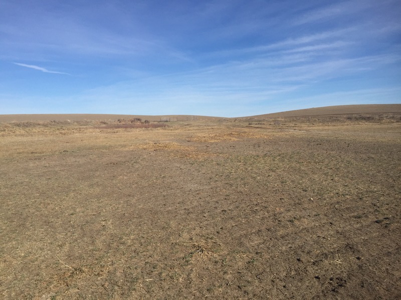 View to the north from the confluence.