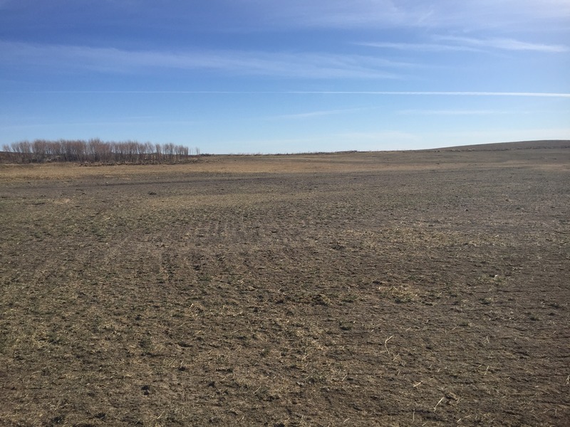 View to the east from the confluence.