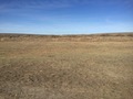 #5: View to the west from the confluence. 