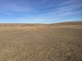 #6: View to the north from the confluence.