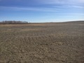 #7: View to the east from the confluence.