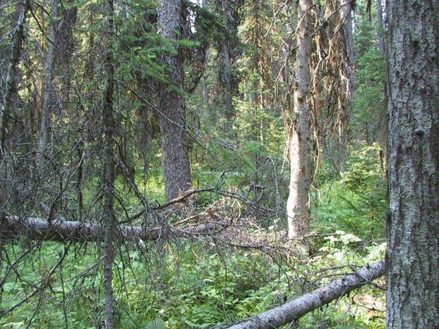 Confluence point, looking to the south