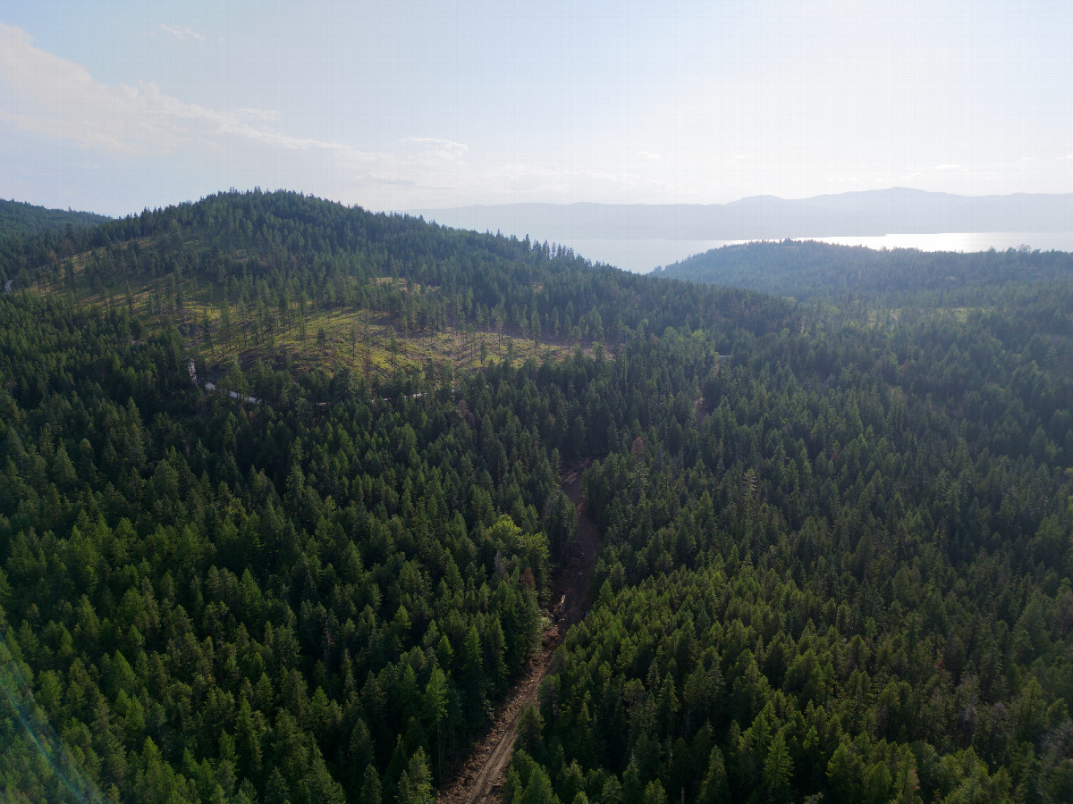 View West (towards Flathead Lake), from 120m above the point