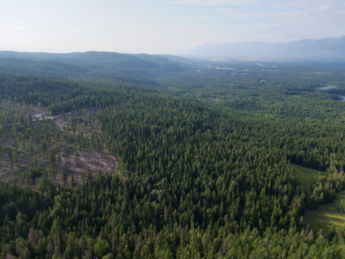 View North, from 120m above the point