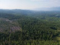 #8: View North, from 120m above the point