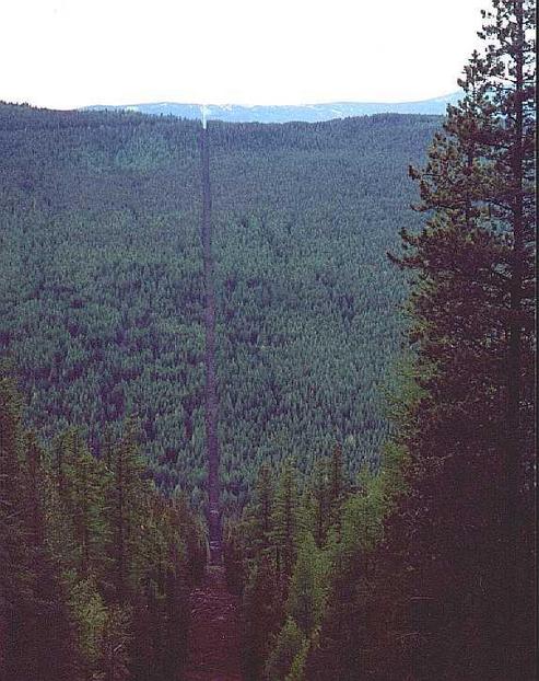 Looking west on International Boundary