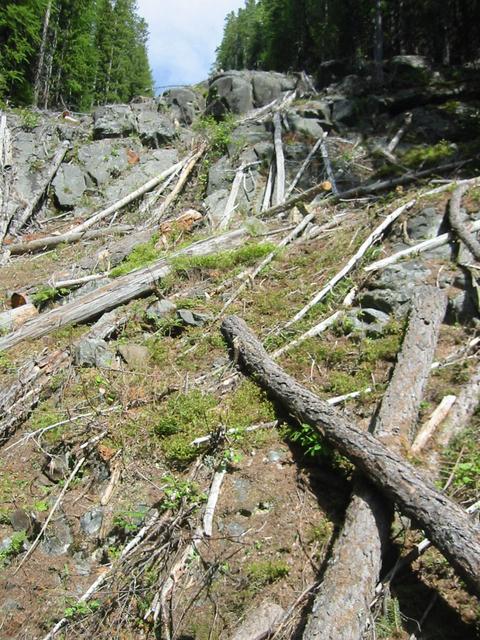 Looking East - fortunately we didn't have to climb the rockface