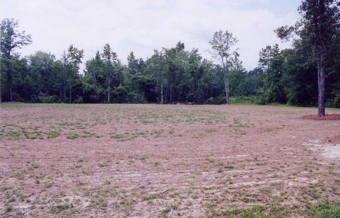 Looking toward confluence point from road, 370 ft. away