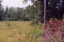 #2: Looking North from the confluence point