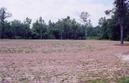 #7: Looking toward confluence point from road, 370 ft. away