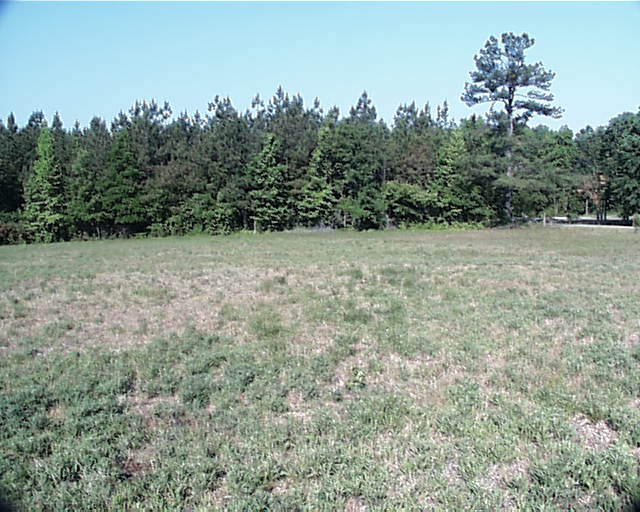 Looking west from the confluence