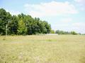 #2: Looking North from the confluence point