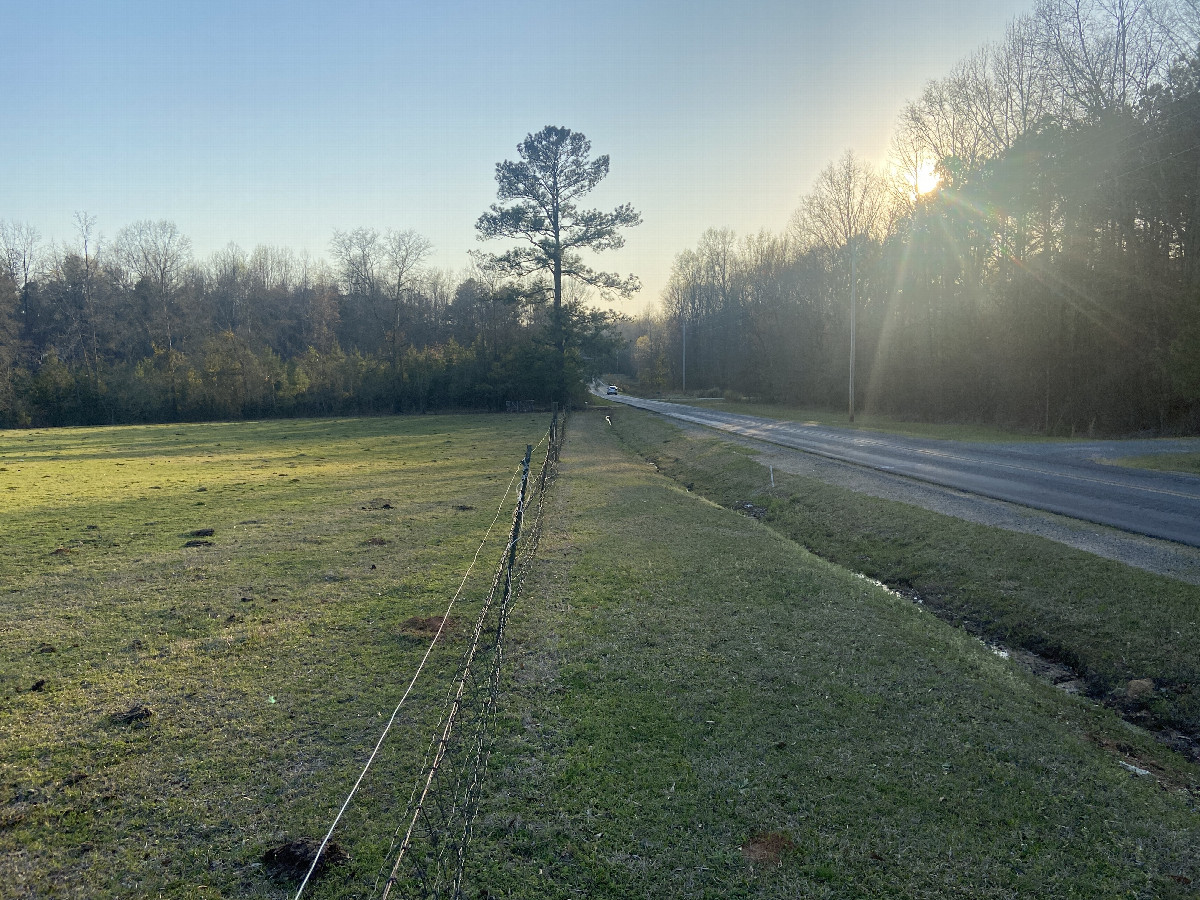 View to the west from the confluence point. 