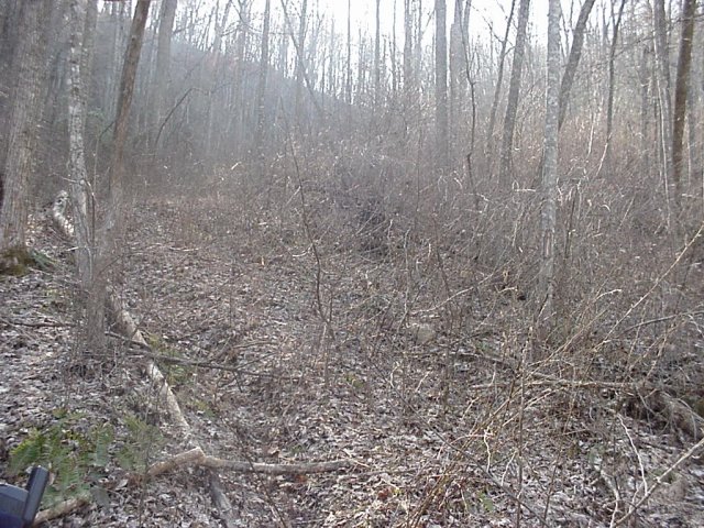 Looking west toward the confluence