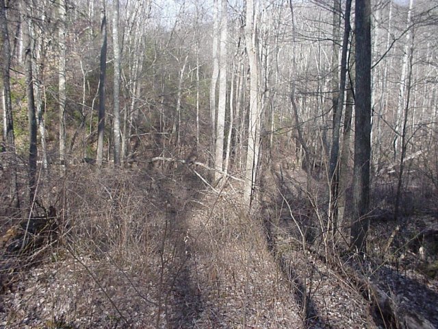 Looking east from the confluence