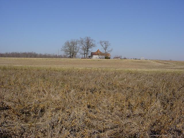 Looking North from the confluence point