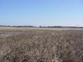 #4: Looking East from the confluence point