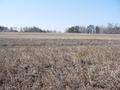 #5: Looking West from the confluence point