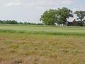 #4: View to the north from the confluence.