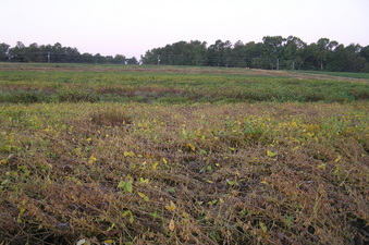 #1: The confluence lies in the center foreground of this view to the south.