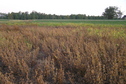 #7: View to the north from the confluence.