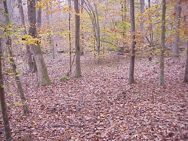 View to the north from the confluence site.