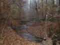 #4: One of the misty stream crossings, about 60 meters southwest of the confluence.