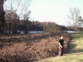 #2: Jason, standing on the spot, down the hill, facing the lake.