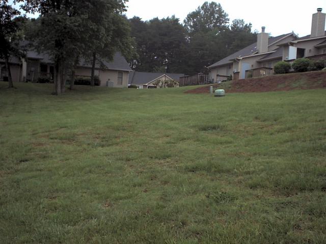 North, looking up the hill I just walked down