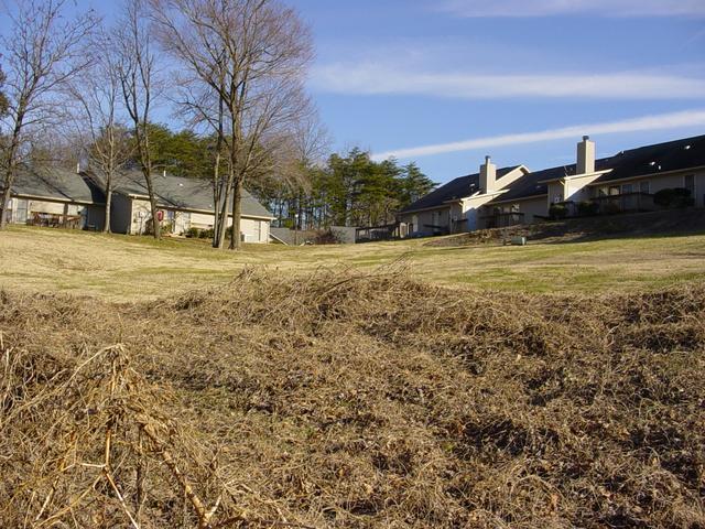 Looking East from confluence point