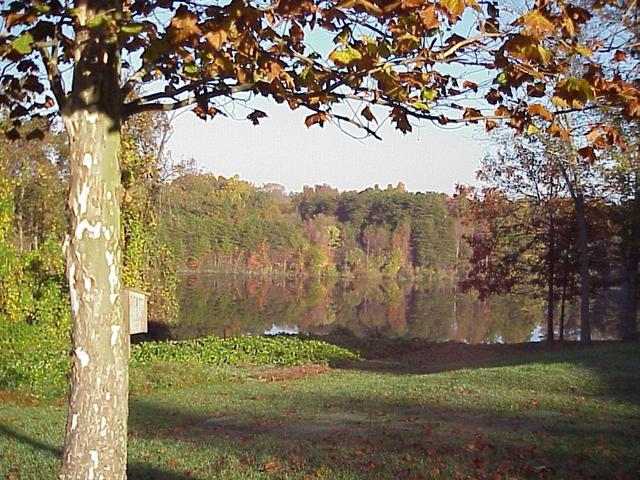 Arm of Deep River Reservoir, taken 30 meters north of the confluence, looking northwest.