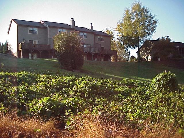 View to the southeast from the confluence.