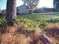 #7: View to the northeast from the confluence.