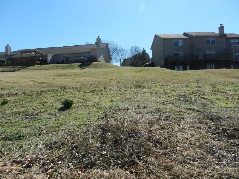 Looking south, uphill to townhouses