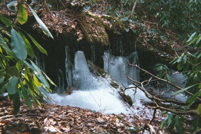 Ice buildup around a spring close to the confluence