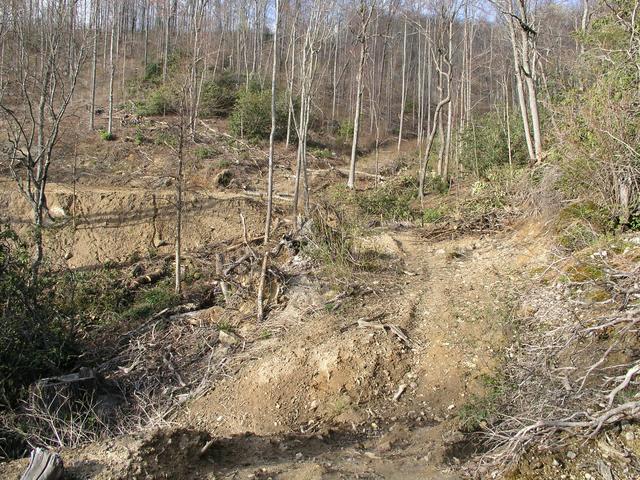 The new road makes a switchback just east of the cp.  Walking down this drainage is a relatively easy way to reach 36N 82W.