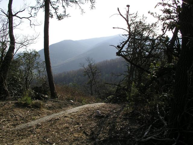 A newly cleared road at 36N 82W has opened up the view to the southwest, towards the Appalachian Trail.