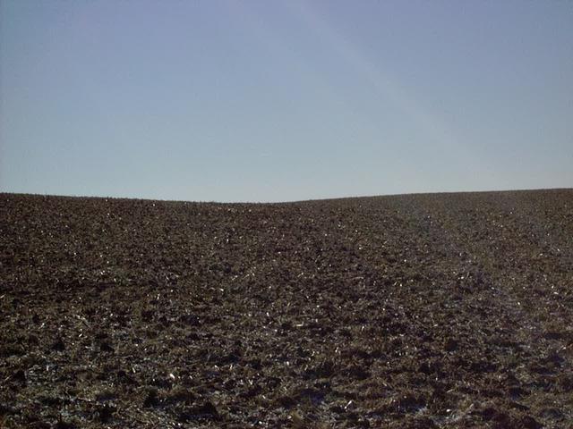 Standing on the Confluence Looking South