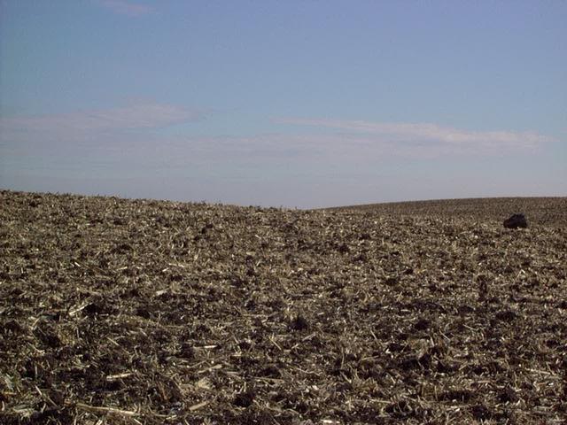 Standing on the Confluence Looking East