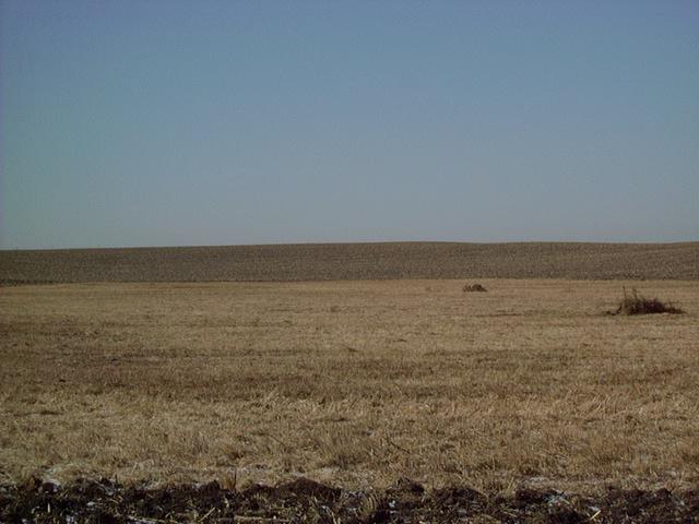 Standing on the Confluence Looking West