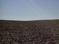 #3: Standing on the Confluence Looking South